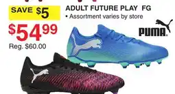 Dunham's Sports PUMA ADULT FUTURE PLAY FG offer