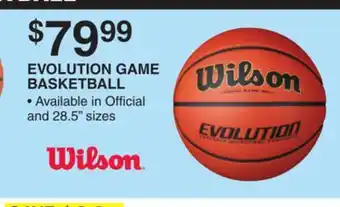 Dunham's Sports EVOLUTION GAME BASKETBALL offer