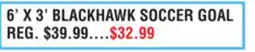 Dunham's Sports FRANKLIN 6' X 3' BLACKHAWK SOCCER GOAL offer