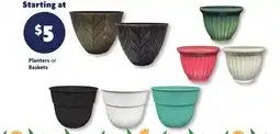 Family Dollar Planters or Baskets offer