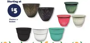 Family Dollar Planters or Baskets offer