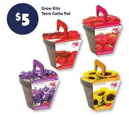 Family Dollar Grow Kits Terra Cotta Pot offer