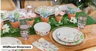 Dollar Tree Wildflower Dinnerware offer