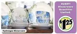 Dollar Tree Hydrangea Dinnerware offer