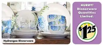 Dollar Tree Hydrangea Dinnerware offer