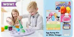 Dollar Tree Egg Dying Kits or White Vinegar offer