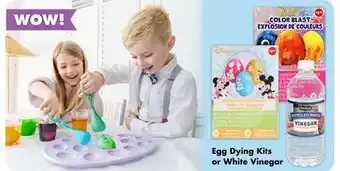 Dollar Tree Egg Dying Kits or White Vinegar offer