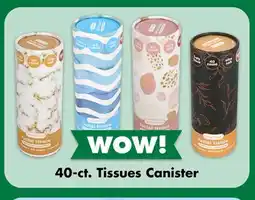 Dollar Tree 40-ct. Tissues Canister offer