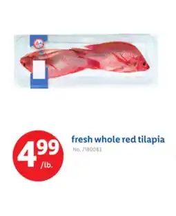 Lidl fresh whole red tilapia offer