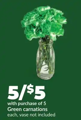 Hy-Vee Green carnations offer