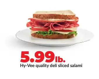 Hy-Vee Hy-Vee quality deli sliced salami offer