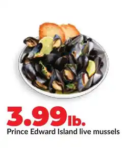 Hy-Vee Prince Edward Island live mussels offer