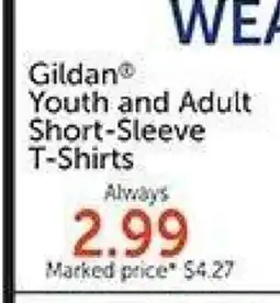 Hobby Lobby Gildan Youth and Adult Short Sleeve T-Shirt offer