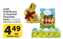 Albertsons Lindt Gold Bunny or Assorted Chocolate Packs offer