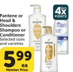 Albertsons Pantene or Head & Shoulders Shampoo or Conditioner offer