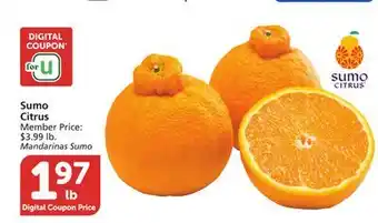 Albertsons Sumo Citrus offer