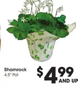 Ralphs Shamrock offer