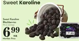 Pavilions Sweet Karoline Blackberries offer