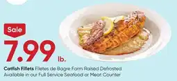 Stater Bros Catfish Fillets offer