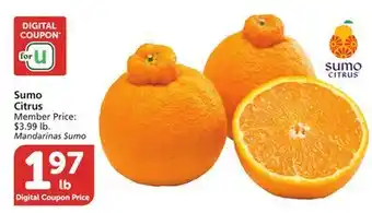 Vons Sumo Citrus offer