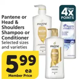 Vons Pantene or Head & Shoulders Shampoo or Conditioner offer