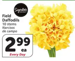 Vons Field Daffodils offer