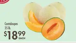 Smart & Final Cantaloupes offer