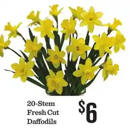 Mariano's 20-Stem Fresh Cut Daffodils offer