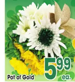 Jewel-Osco Pot of Gold offer