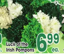 Jewel-Osco Luck of the Irish Pompons offer