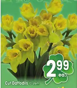 Jewel-Osco Cut Daffodils offer