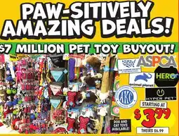 Ollie's DOG AND CAT TOYS offer