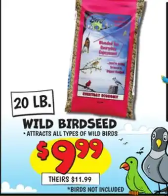 Ollie's WILD BIRDSEED offer