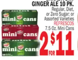 Bravo Supermarkets GINGER ALE 10 PK offer