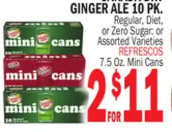 Bravo Supermarkets GINGER ALE 10 PK offer