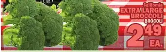 Bravo Supermarkets EXTRA LARGE BROCCOLI offer