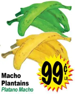 Superior Grocers Macho Plantains offer