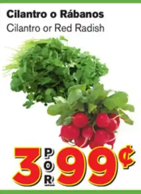 El Super Fresh Cilantro or Red Radish offer