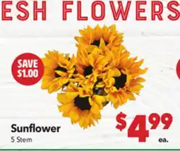 Vallarta Supermarkets Sunflower offer