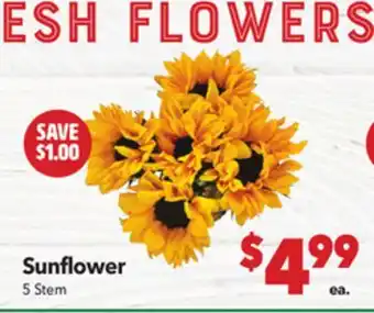 Vallarta Supermarkets Sunflower offer