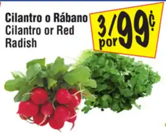 El Super Cilantro or Red Radish offer