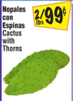 El Super Cactus with Thorns offer