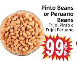 Foodmaxx Pinto Beans or Peruano Beans offer