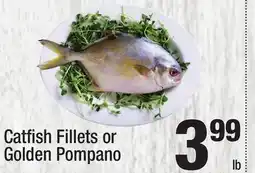 Super King Markets Catfish Fillets or Golden Pompano offer