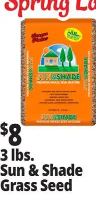 Ocean State Job Lot Premium Quality Sun & Shade Grass Seed Mixture 3 lbs offer