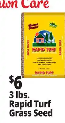 Ocean State Job Lot Rapid Turf Premium Grass Seed Mixture 3 lbs offer