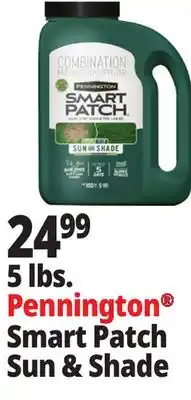 Ocean State Job Lot Pennington Smart Patch Grass Seed Fertilizer Mulch 5 lbs offer