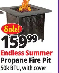 Ocean State Job Lot Endless Summer Propane Fire Pit offer