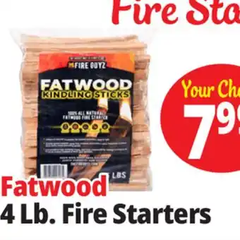 Ocean State Job Lot Fatwood Firestarter offer