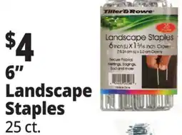 Ocean State Job Lot Tiller & Rowe 6 Landscape Staples 25 Count offer